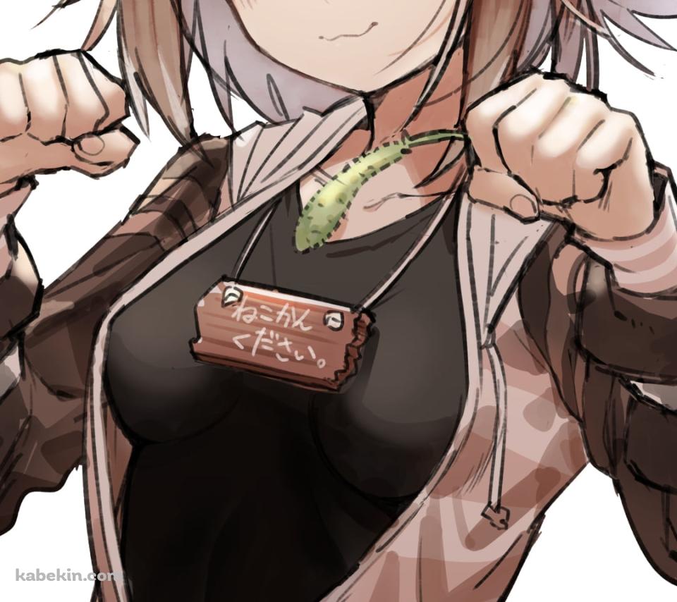 どや顔でファイティングポーズを取る可愛い文野環 / にじさんじ / バーチャルYouTuber / VtuberのAndroidの壁紙(960px x 854px) スマホ用