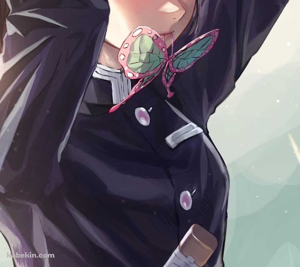 こちらを見つめながら髪を結わく栗花落カナヲ / 蝶 / 鬼滅の刃のAndroidの壁紙(960px x 854px) スマホ用