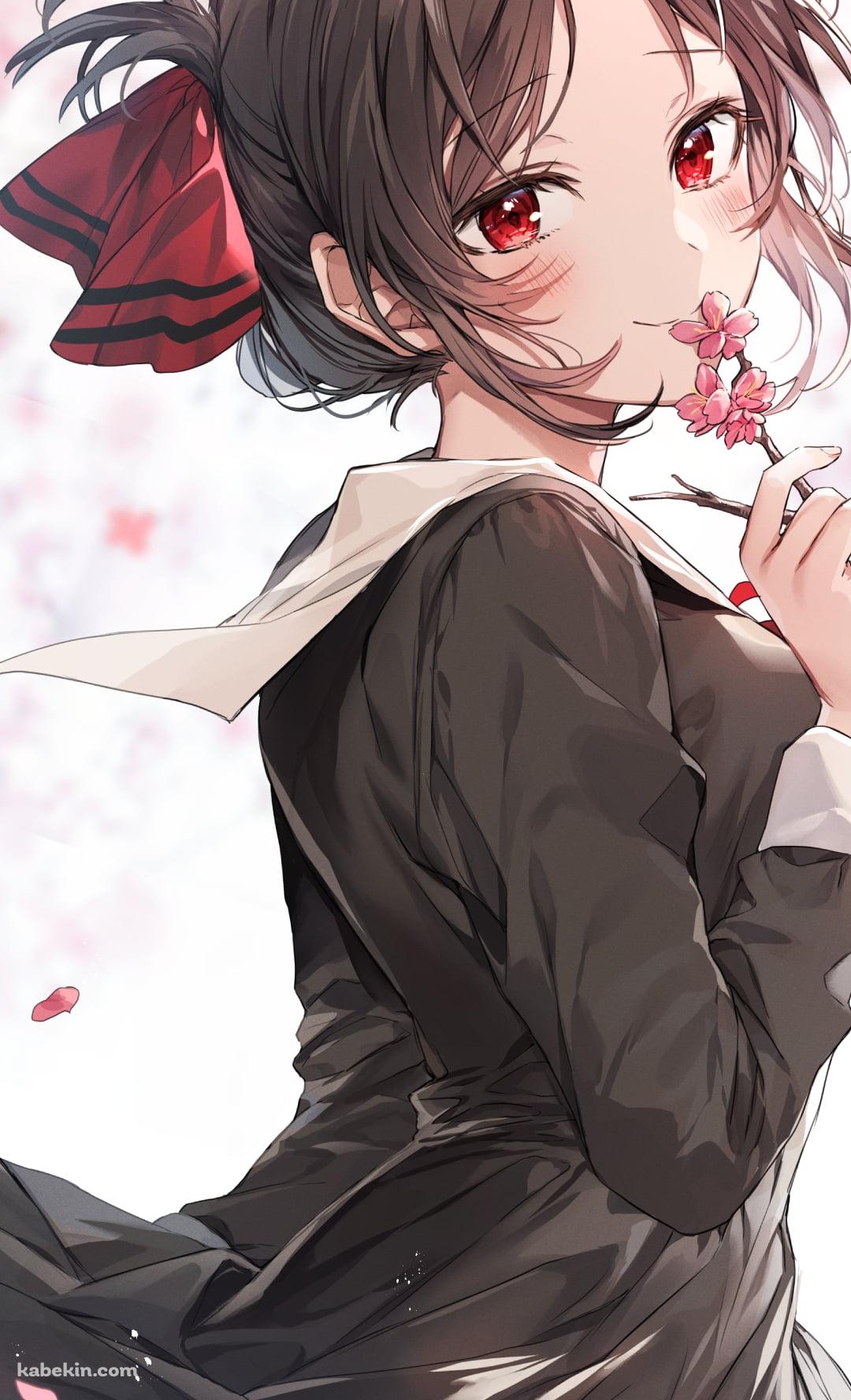 ピンクの梅の花を持つ可愛い四宮かぐや / かぐや様は告らせたい～天才たちの恋愛頭脳戦～のAndroidの壁紙(1080px x 1776px) スマホ用