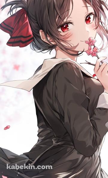 ピンクの梅の花を持つ可愛い四宮かぐや / かぐや様は告らせたい～天才たちの恋愛頭脳戦～のAndroidの壁紙(360px x 592px) スマホ用