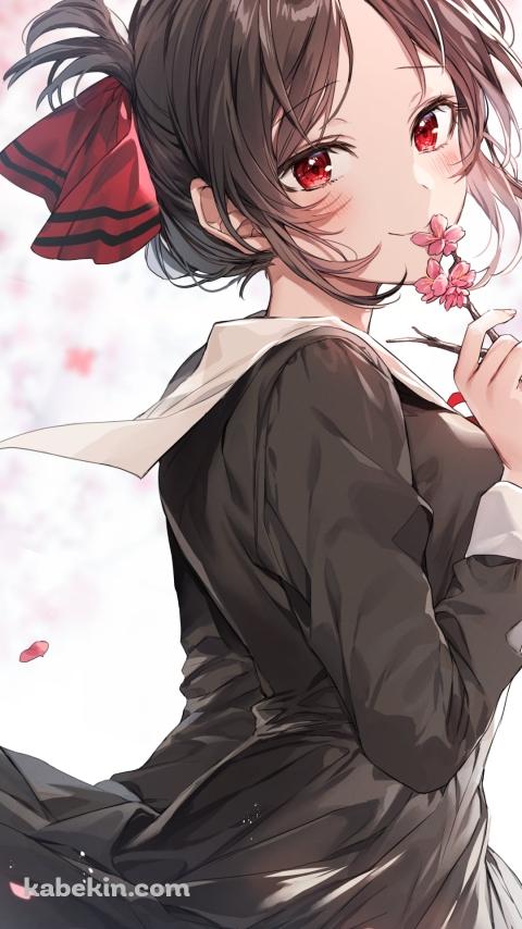 ピンクの梅の花を持つ可愛い四宮かぐや / かぐや様は告らせたい～天才たちの恋愛頭脳戦～のAndroidの壁紙(480px x 854px) スマホ用