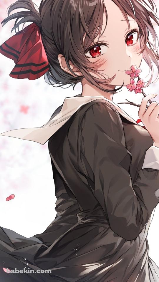 ピンクの梅の花を持つ可愛い四宮かぐや / かぐや様は告らせたい～天才たちの恋愛頭脳戦～のAndroidの壁紙(540px x 960px) スマホ用
