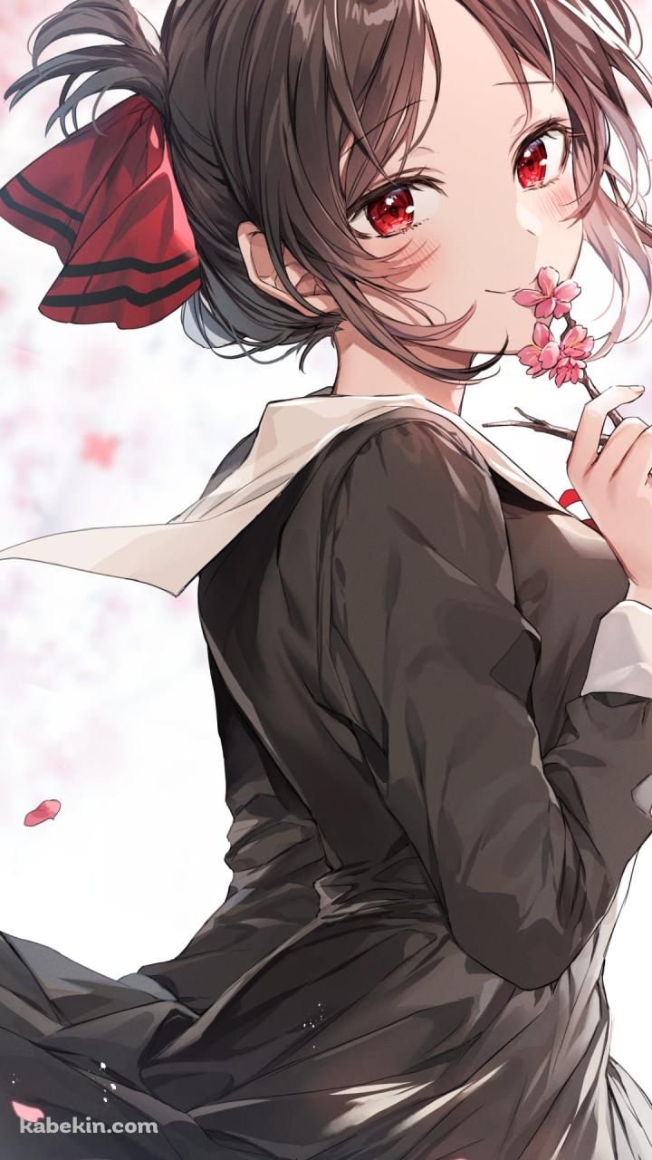 ピンクの梅の花を持つ可愛い四宮かぐや / かぐや様は告らせたい～天才たちの恋愛頭脳戦～のAndroidの壁紙(720px x 1280px) スマホ用