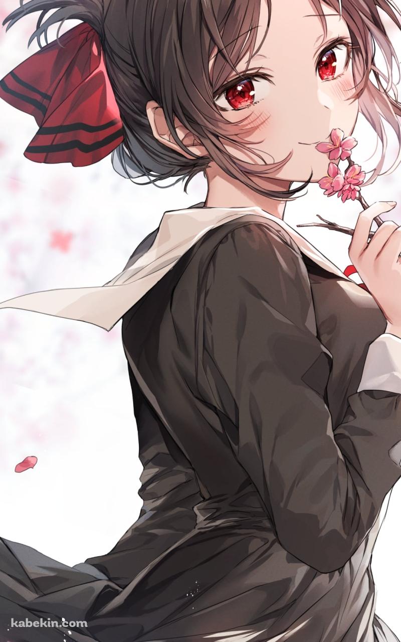 ピンクの梅の花を持つ可愛い四宮かぐや / かぐや様は告らせたい～天才たちの恋愛頭脳戦～のAndroidの壁紙(800px x 1280px) スマホ用