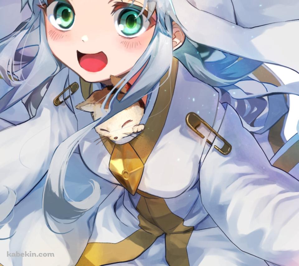 インデックスとスフィンクス / とある魔術の禁書目録のAndroidの壁紙(960px x 854px) スマホ用