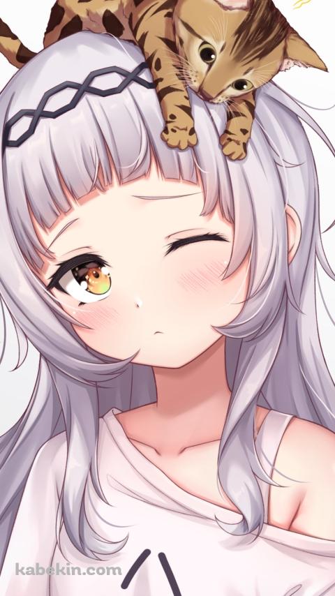 頭に猫を乗せた眠そうな紫咲シオン / ホロライブ / バーチャルYouTuber / VtuberのAndroidの壁紙(480px x 854px) スマホ用
