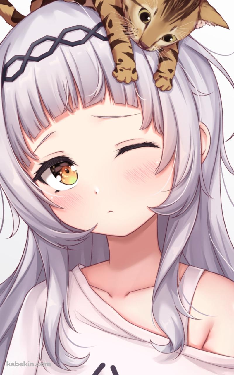 頭に猫を乗せた眠そうな紫咲シオン / ホロライブ / バーチャルYouTuber / VtuberのAndroidの壁紙(800px x 1280px) スマホ用