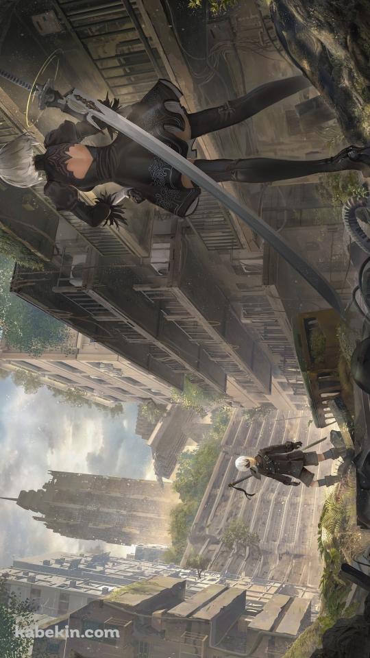 対峙するヨルハ二号b型とヨルハ九号s型 / ニーア・オートマタ / nier: automataのAndroidの壁紙(540px x 960px) スマホ用