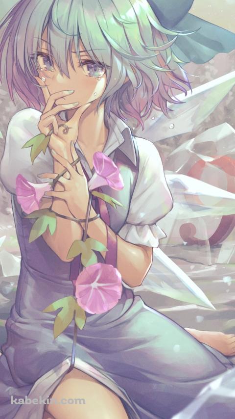 アサガオと日焼けしたチルノ / 東方のAndroidの壁紙(480px x 854px) スマホ用