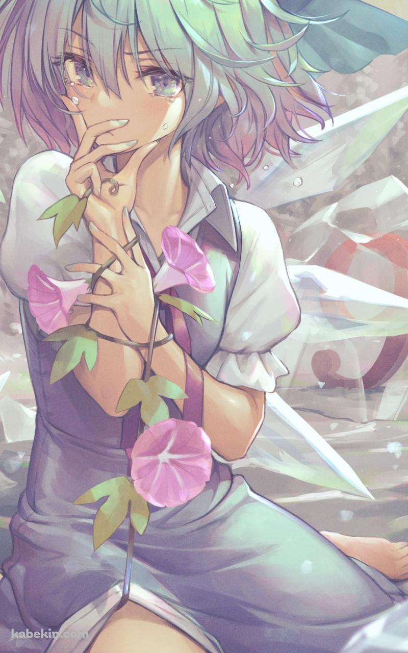 アサガオと日焼けしたチルノ / 東方のAndroidの壁紙(800px x 1280px) スマホ用