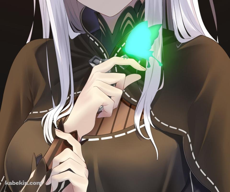 緑に光る蝶と赤い瞳のエキドナ / re:ゼロから始める異世界生活のAndroidの壁紙(960px x 800px) スマホ用
