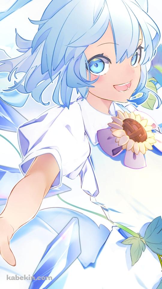沢山のアサガオと日焼けしたチルノ / 東方のAndroidの壁紙(540px x 960px) スマホ用