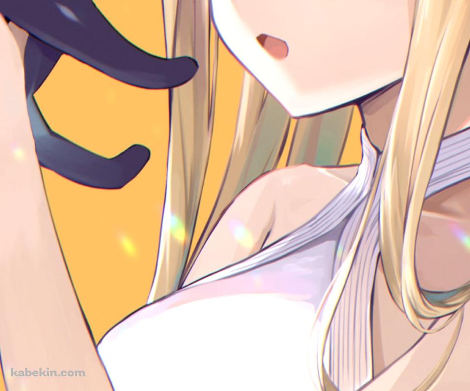 黒猫を抱きかかえているアビゲイル・ウィリアムズ / fate/grand orderのAndroidの壁紙(960px x 800px) スマホ用