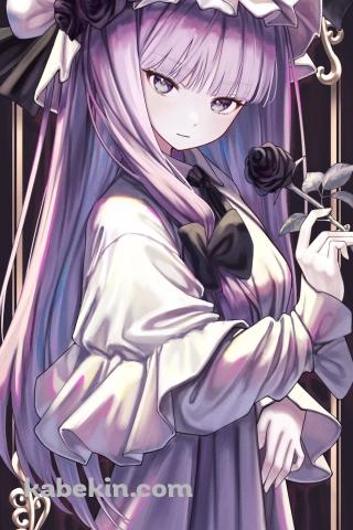黒い薔薇を持つ綺麗なパチュリー・ノーレッジ / 東方のAndroidの壁紙(320px x 480px) スマホ用