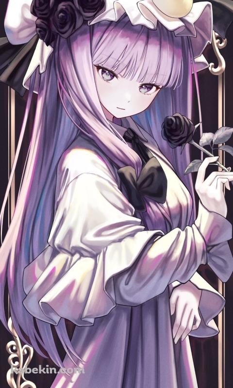 黒い薔薇を持つ綺麗なパチュリー・ノーレッジ / 東方のAndroidの壁紙(480px x 800px) スマホ用