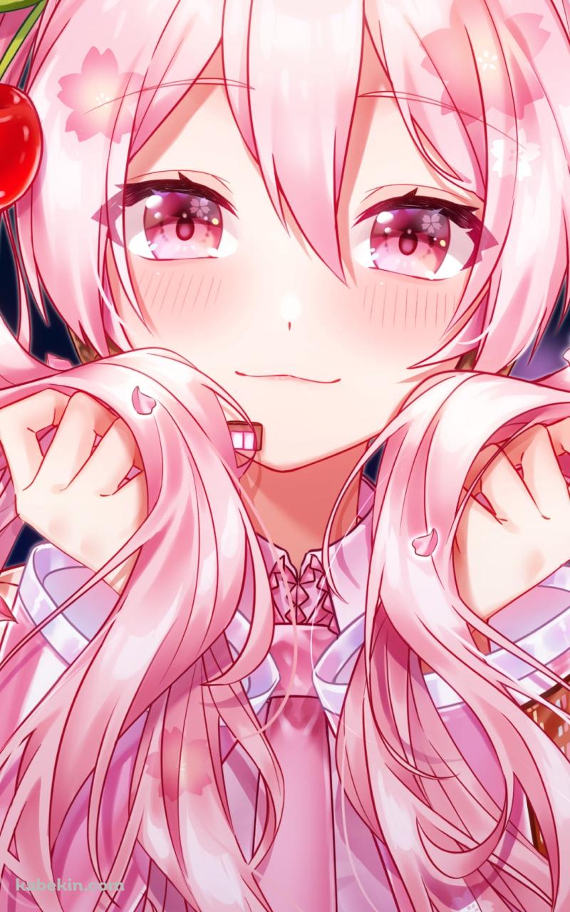 ツインテールの髪を持つ可愛い桜ミク / ボカロ / ボーカロイドのAndroidの壁紙(800px x 1280px) スマホ用