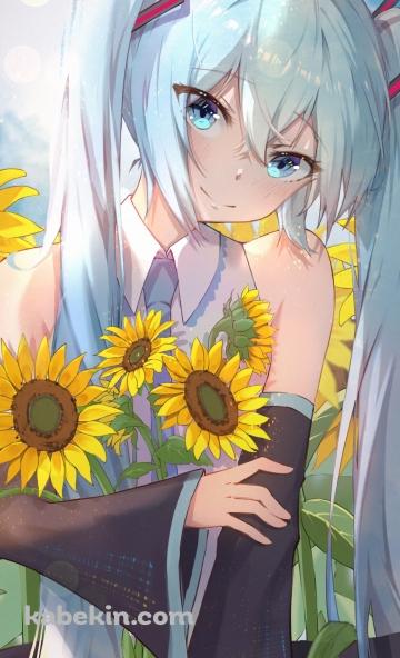 青空の下、向日葵を抱える初音ミク / ボカロ / ボーカロイドのAndroidの壁紙(360px x 592px) スマホ用