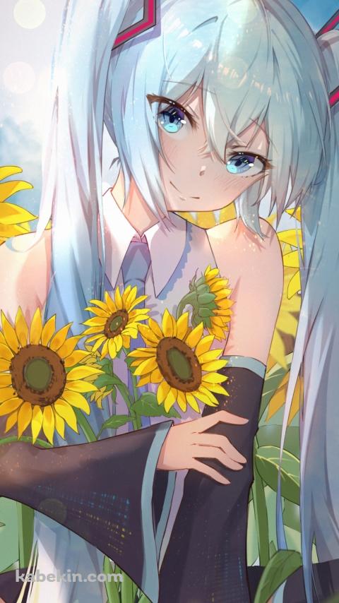 青空の下、向日葵を抱える初音ミク / ボカロ / ボーカロイドのAndroidの壁紙(480px x 854px) スマホ用