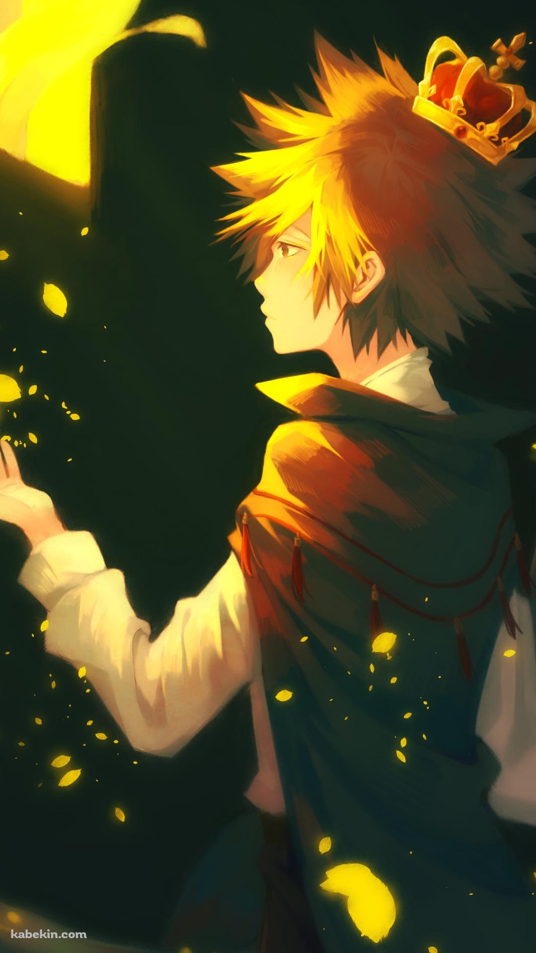 王冠をつけた沢田綱吉（さわだ つなよし） / REBORNのAndroidの壁紙(1080px x 1920px) スマホ用