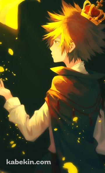 王冠をつけた沢田綱吉（さわだ つなよし） / REBORNのAndroidの壁紙(360px x 592px) スマホ用