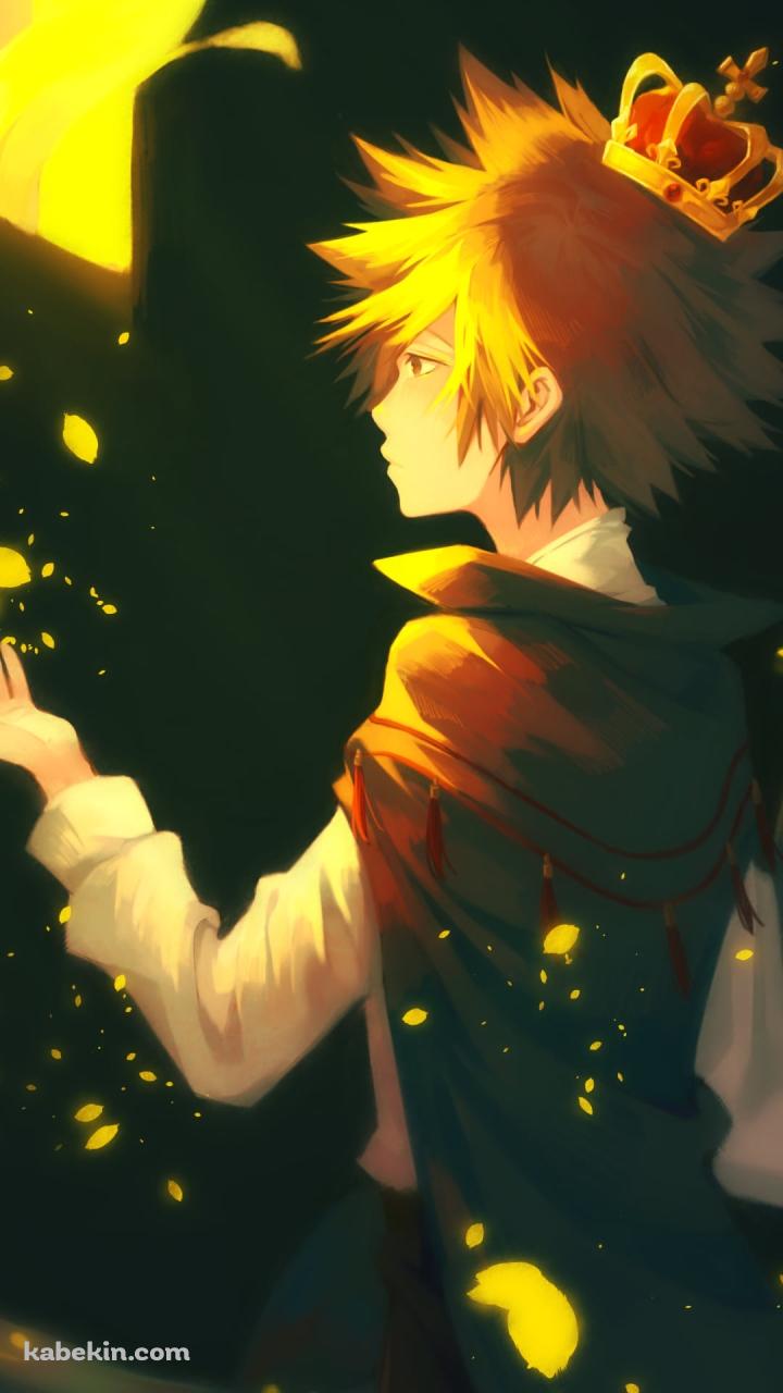 王冠をつけた沢田綱吉（さわだ つなよし） / REBORNのAndroidの壁紙(720px x 1280px) スマホ用