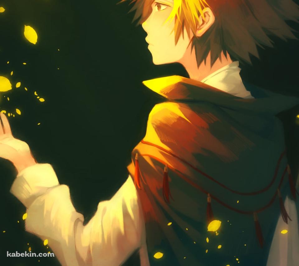 王冠をつけた沢田綱吉（さわだ つなよし） / REBORNのAndroidの壁紙(960px x 854px) スマホ用