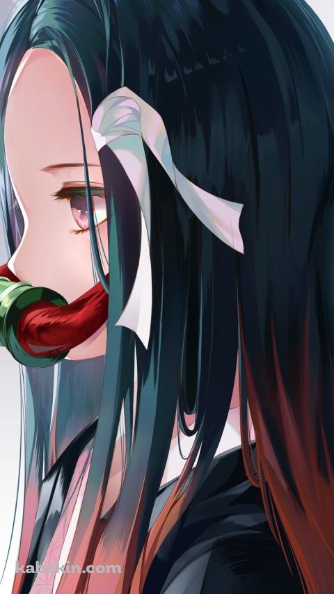 竈門禰豆子の横顔 / 竹 / 可愛い / 鬼滅の刃のAndroidの壁紙(480px x 854px) スマホ用