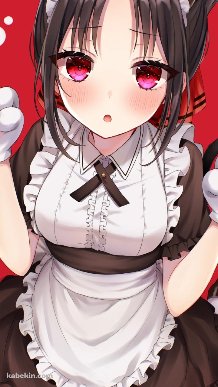 猫耳と手のコスプレを付けたメイド姿の可愛い四宮かぐや（しのみや かぐや） / 副会長 / かぐや様は告らせたい～天才たちの恋愛頭脳戦～のAndroidの壁紙(720px x 1280px) スマホ用
