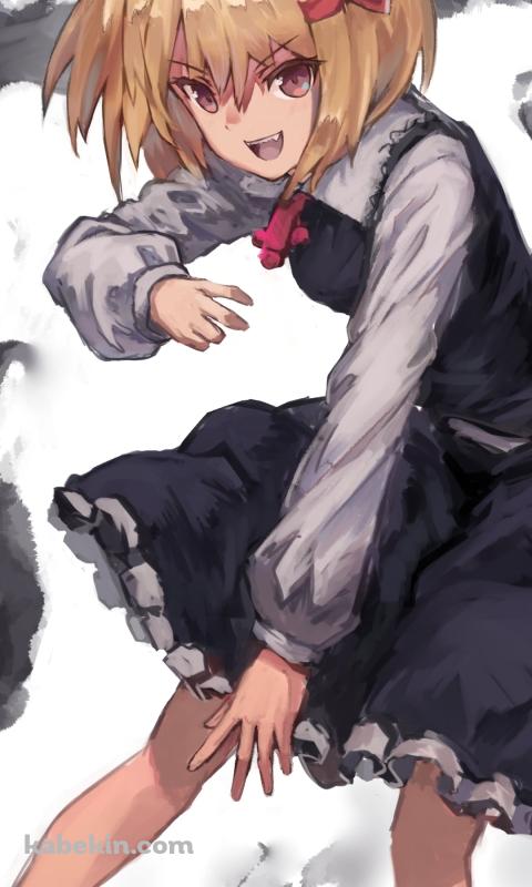 攻撃するルーミア / 東方のAndroidの壁紙(480px x 800px) スマホ用