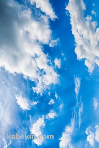めちゃくちゃ綺麗な青空 / 夏 / 白い雲のAndroidの壁紙(320px x 480px) スマホ用