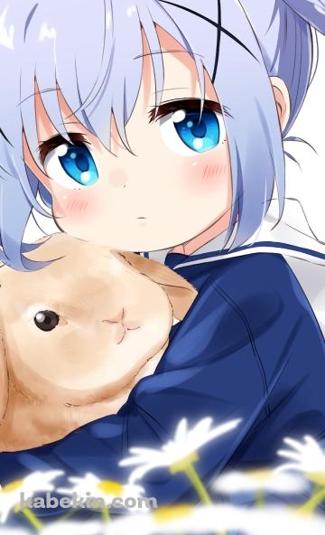 兎を抱える香風智乃 / ご注文はうさぎですか?のAndroidの壁紙(360px x 592px) スマホ用