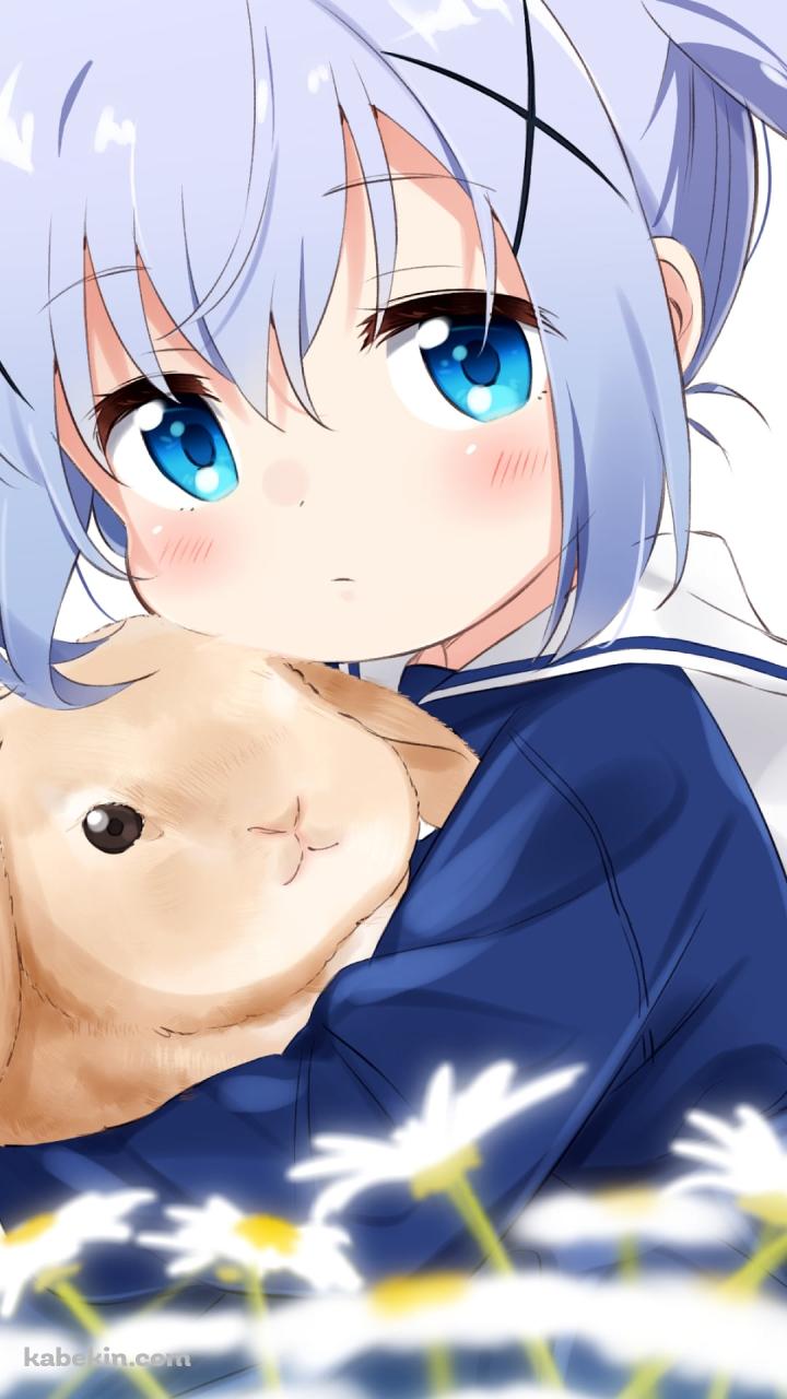 兎を抱える香風智乃 / ご注文はうさぎですか?のAndroidの壁紙(720px x 1280px) スマホ用