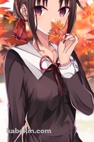 楓を持つ可愛い四宮かぐや / かぐや様は告らせたい~天才たちの恋愛頭脳戦~のAndroidの壁紙(320px x 480px) スマホ用