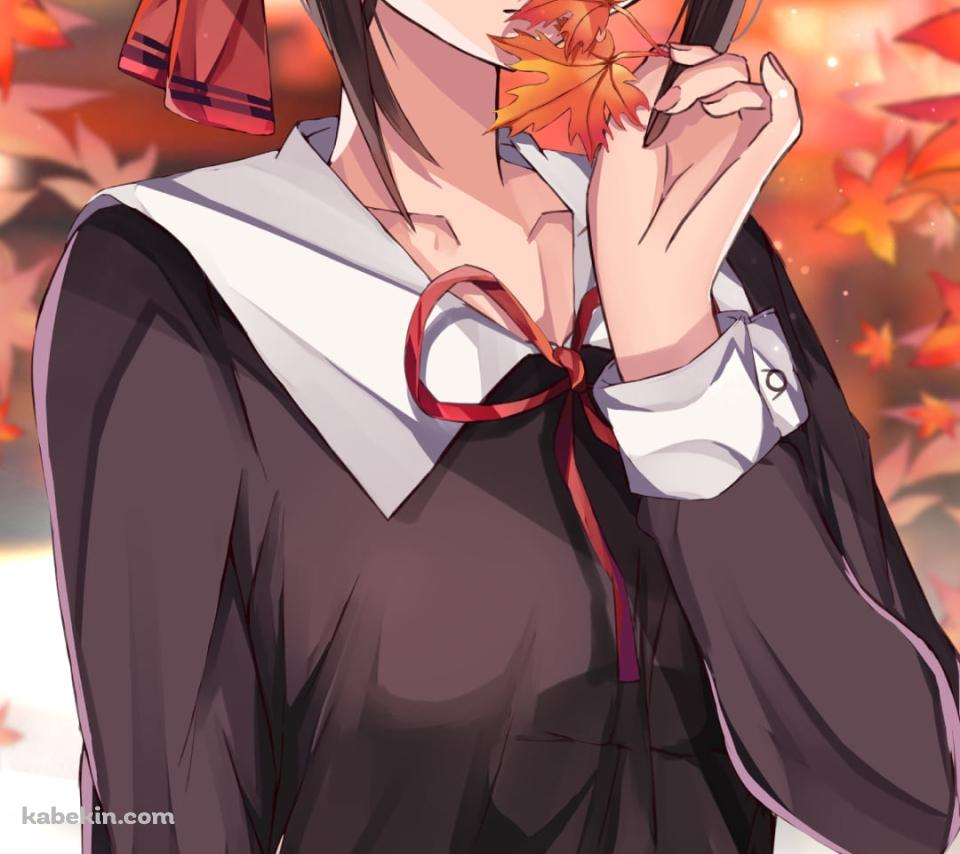 楓を持つ可愛い四宮かぐや / かぐや様は告らせたい~天才たちの恋愛頭脳戦~のAndroidの壁紙(960px x 854px) スマホ用