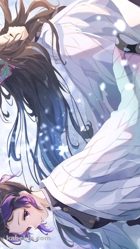 光る蝶と胡蝶しのぶと胡蝶カナエ / 鬼滅の刃のAndroidの壁紙(480px x 854px) スマホ用