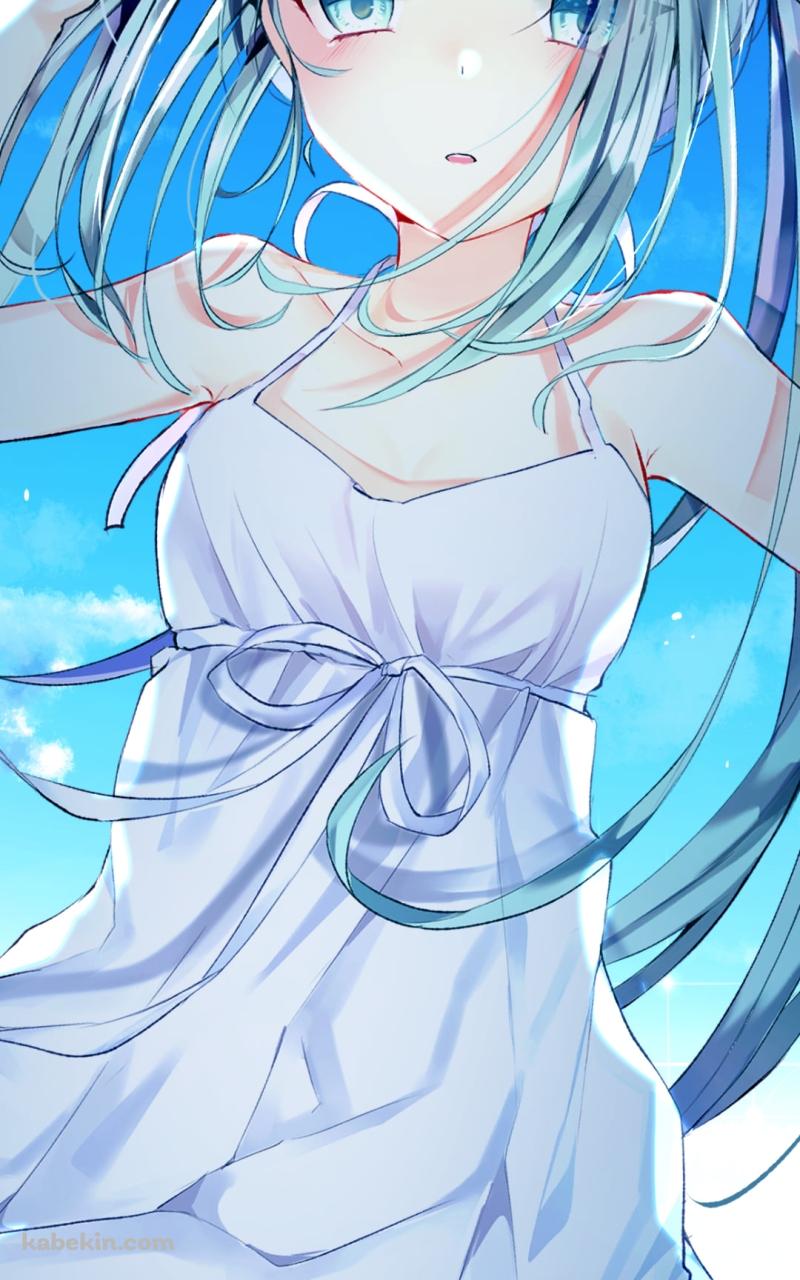 プニプニの可愛い初音ミク / 夏空 / 水泡 / ボカロ / ボーカロイドのAndroidの壁紙(800px x 1280px) スマホ用