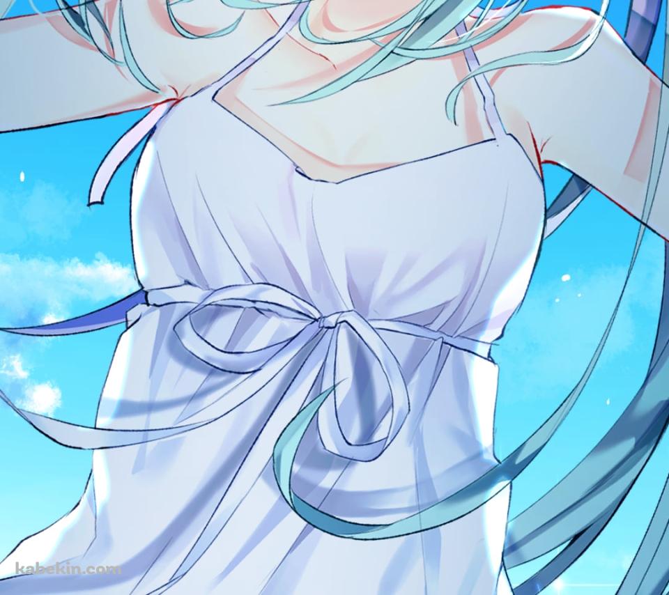 プニプニの可愛い初音ミク / 夏空 / 水泡 / ボカロ / ボーカロイドのAndroidの壁紙(960px x 854px) スマホ用