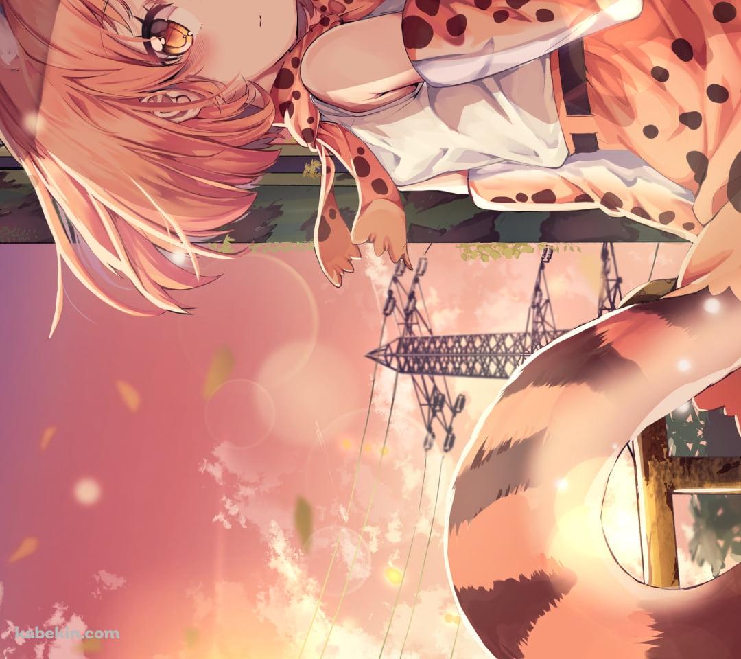 手摺を持ってふりかえるサーバル / けものフレンズのAndroidの壁紙(1080px x 960px) スマホ用