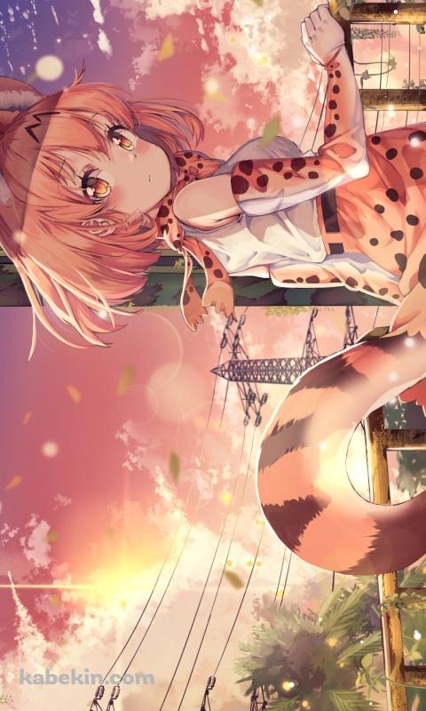 手摺を持ってふりかえるサーバル / けものフレンズのAndroidの壁紙(480px x 800px) スマホ用