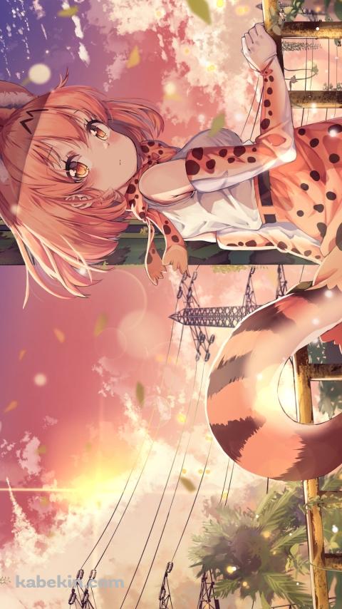 手摺を持ってふりかえるサーバル / けものフレンズのAndroidの壁紙(480px x 854px) スマホ用