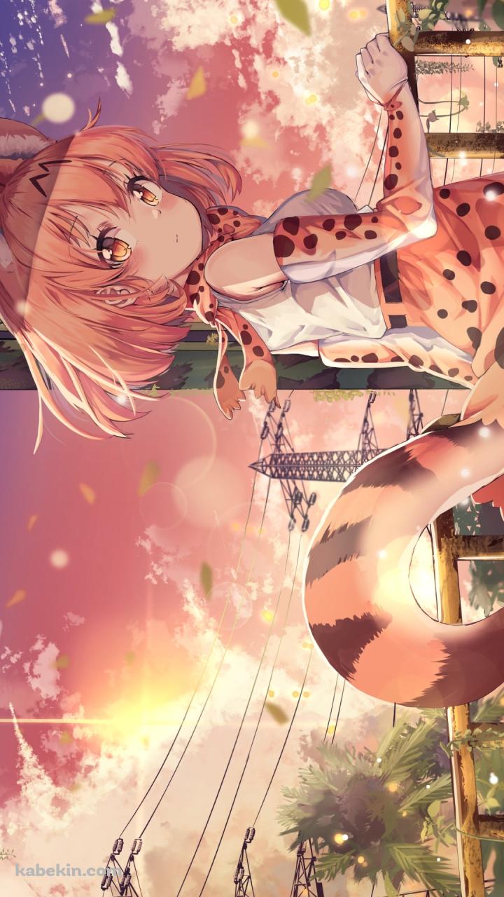 手摺を持ってふりかえるサーバル / けものフレンズのAndroidの壁紙(720px x 1280px) スマホ用