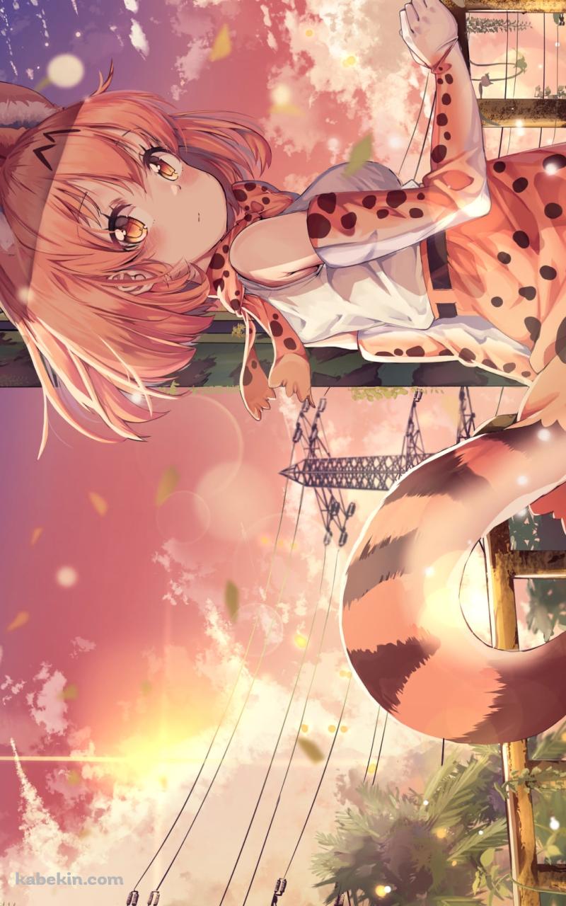 手摺を持ってふりかえるサーバル / けものフレンズのAndroidの壁紙(800px x 1280px) スマホ用