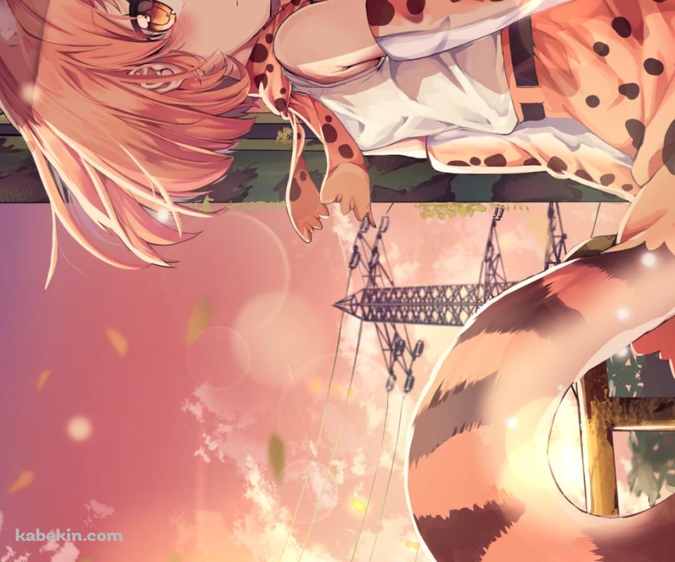 手摺を持ってふりかえるサーバル / けものフレンズのAndroidの壁紙(960px x 800px) スマホ用