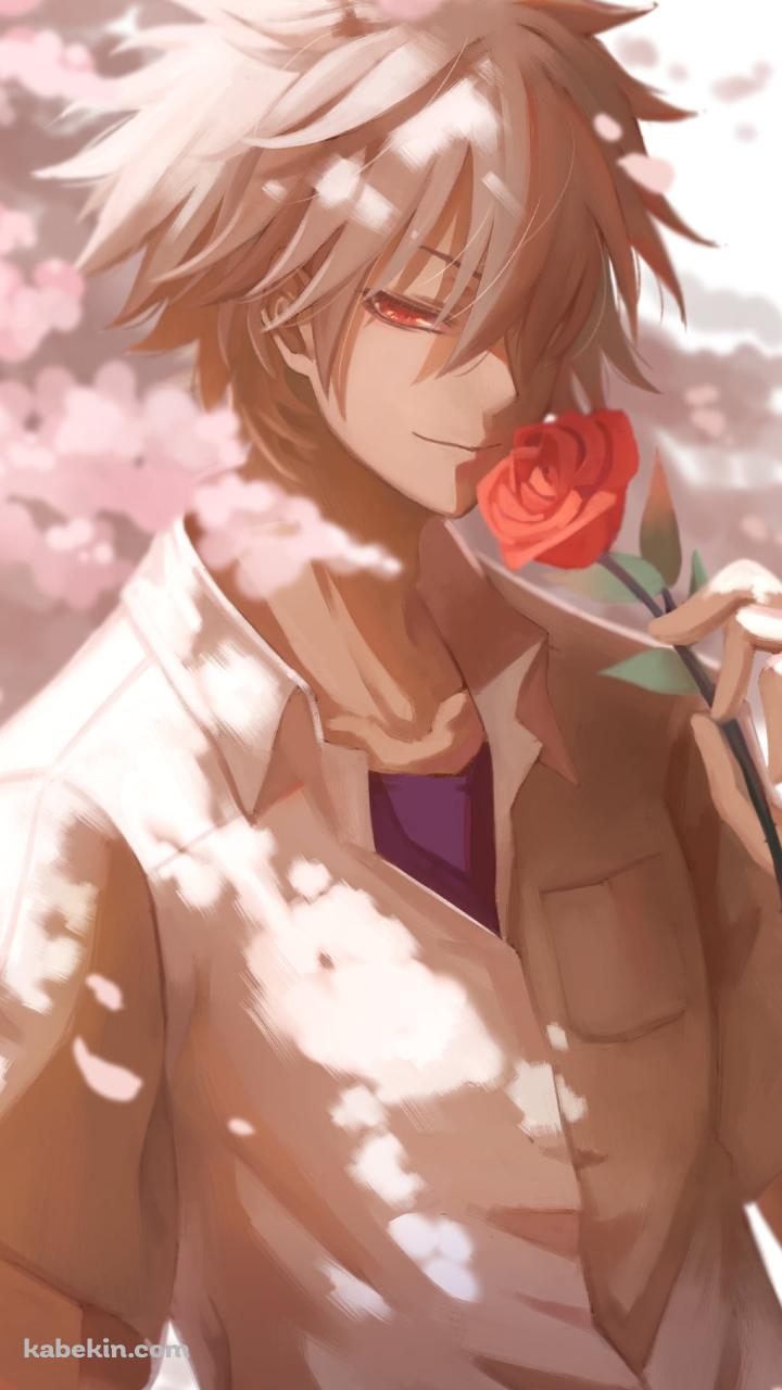 赤い薔薇を持つかっこいい渚カヲル / 桜の花 / 新世紀エヴァンゲリオンのAndroidの壁紙(720px x 1280px) スマホ用