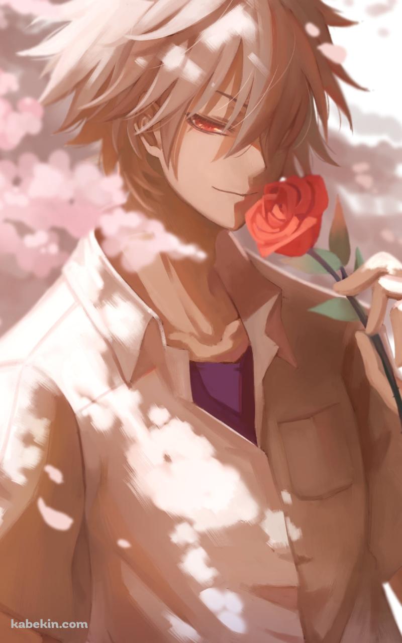 赤い薔薇を持つかっこいい渚カヲル / 桜の花 / 新世紀エヴァンゲリオンのAndroidの壁紙(800px x 1280px) スマホ用