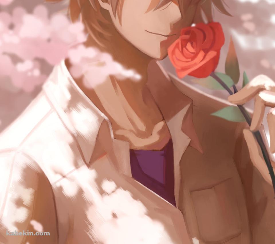 赤い薔薇を持つかっこいい渚カヲル / 桜の花 / 新世紀エヴァンゲリオンのAndroidの壁紙(960px x 854px) スマホ用