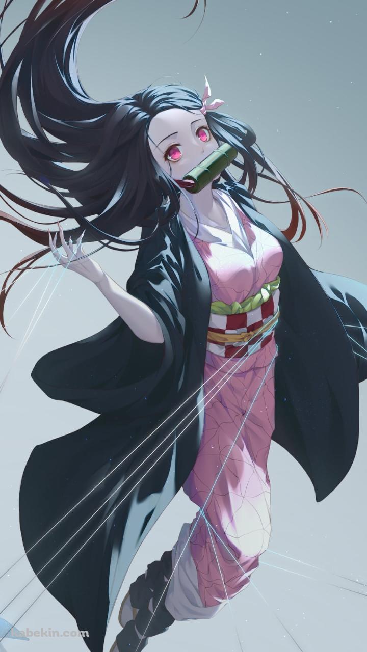 無数の糸と竈門禰豆子 / 鬼滅の刃のAndroidの壁紙(720px x 1280px) スマホ用