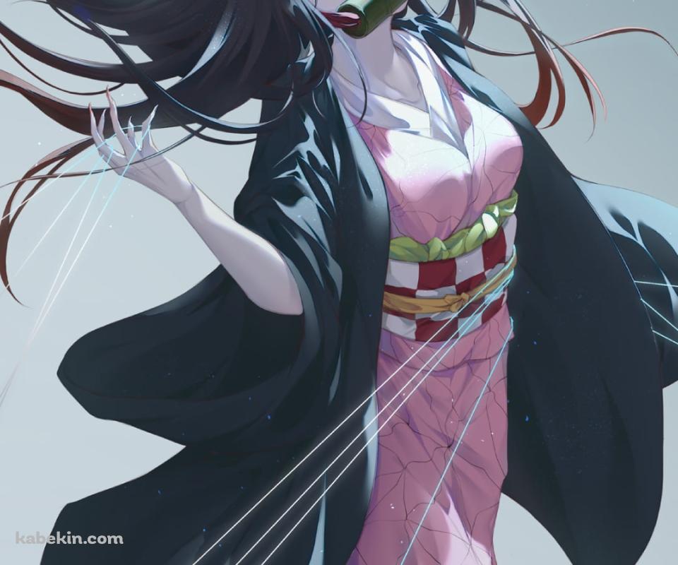 無数の糸と竈門禰豆子 / 鬼滅の刃のAndroidの壁紙(960px x 800px) スマホ用