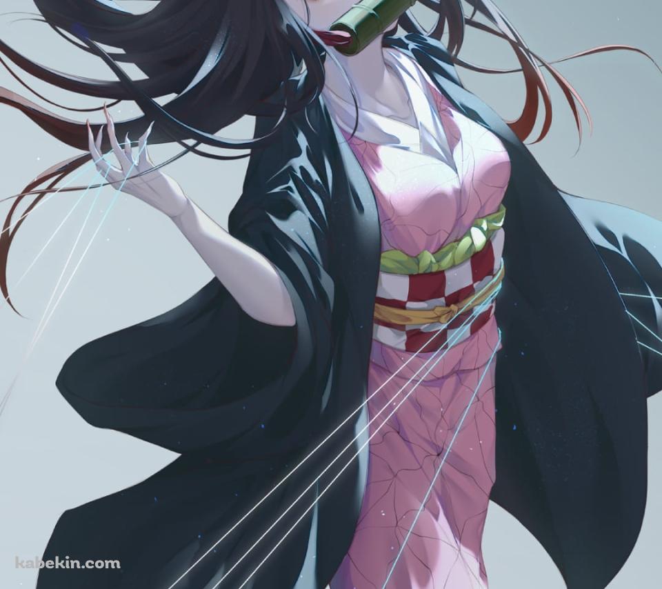 無数の糸と竈門禰豆子 / 鬼滅の刃のAndroidの壁紙(960px x 854px) スマホ用