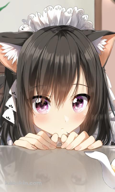 テーブル越しに覗く可愛いメイド / 黒髪 / 猫耳 / ティーポットのAndroidの壁紙(480px x 800px) スマホ用